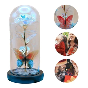 Glass Dome Rose In Flask Beauty And The Best Mother's Day Gift for Mom/Wife AU - Picture 1 of 3