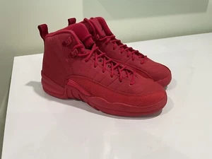 Nike Air Jordan 12 Retro GS ""Fitnessstudio rot"" 5Y/Damen 6,5 153265-601 B Klasse - Bild 1 von 8