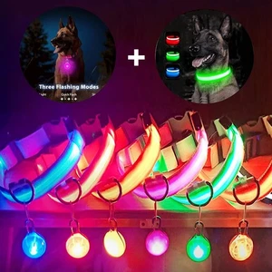 Collare LED per Cani USB Ricaricabile Illuminazione Regolabile Riflettente Sicurezza Notte Pet - Foto 1 di 19