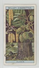 1924 Wills Flowering Trees & Shrubs Tobacco Common Alder #3 0kb5