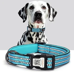 Reflektierendes Hundehalsband mit QR-Code-Tag, Personalisiertes Hundehalsband, Safety Night Vi - Bild 1 von 25