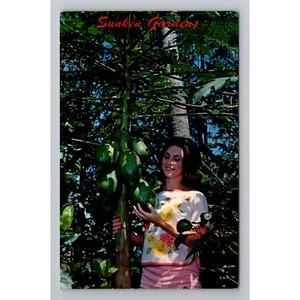 Vintage Sunken Gardens Woman Papaya Postcard St. Petersburg Florida posted 1956 - Picture 1 of 2