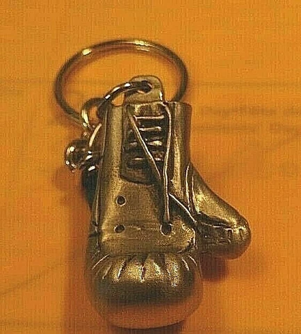 boxing golden gloves Cover