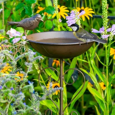 Metall Vogeltränke stehend 700ml Vogelbad Frostsicher Vogelbad aus Metall - Bild 1 von 4