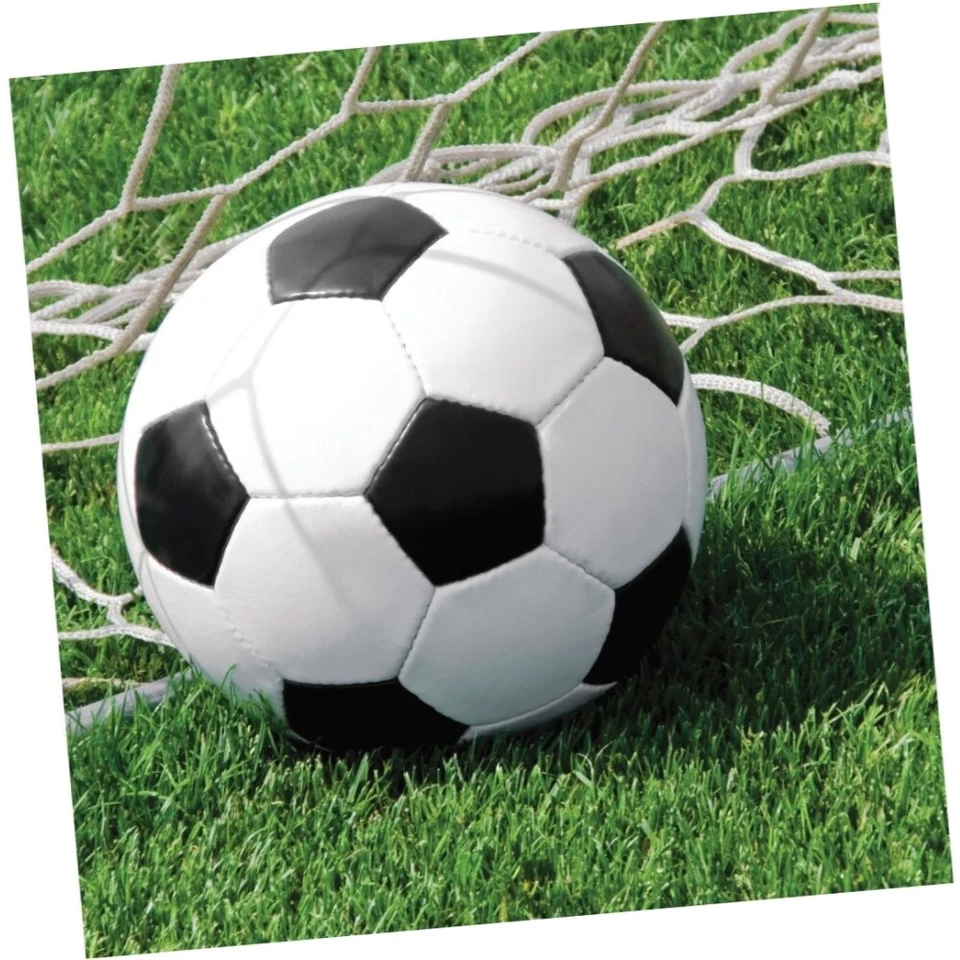 Soccer Fanatic Napkins Lunch 18CT - Image 1 of 1