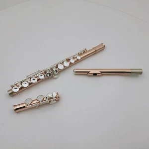 flauto con custodia flauto cella chiusa split E Spot goods 16 tasti strumento - Foto 1 di 8