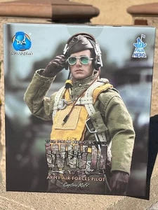DID PALM HERO WWII US Army Air Force Pilot Capt Rafe XA80032 1/12 Scale Act Fig - Picture 1 of 8