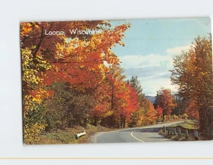 Postcard Glistening Gold Nature and Landscape Scenery During Autumn Laona WI - Picture 1 of 2