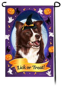 Bandera de jardín de Halloween - Border Collie rojo y blanco - Imagen 1 de 1