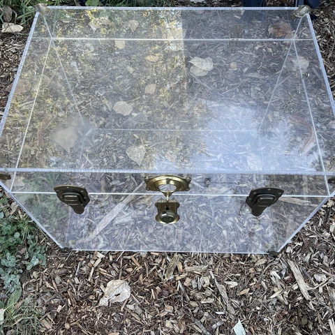 Rare Vintage 60’s 70’s Lucite Brass And Leather Trunk Made In The USA MCM Cover