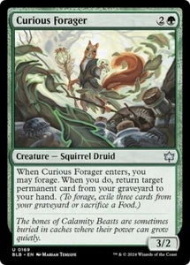 CURIOUS FORAGER x4 mtg NM-M Bloomburrow 4 Unc - Picture 1 of 1