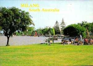Milang Caravan Foreshore Postcard. Vintage 70s Lake Alexandrina South Australia - Picture 1 of 2