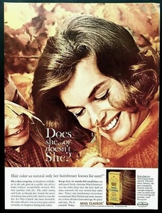 Miss Clairol Haarfarbe Anzeige Original 1962 Vintage Reklame - Bild 1 von 1