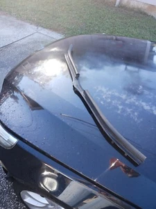 Bmw E60 hood sealing strip bumper 525 530 545 550 M5 - Picture 1 of 2