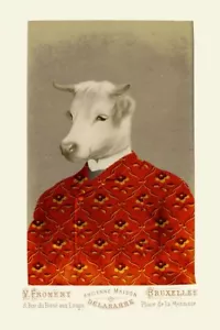 Stampa artistica o su tela Serge by Philippe Debongnie misura a scelta animale mucca - Foto 1 di 1