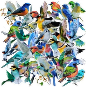 40PCS Bird Stickers, Stickers Waterproof for Scrapbook Journal Blue  - Picture 1 of 9