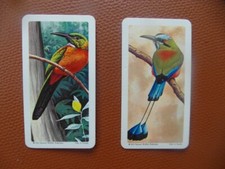 Brooke Bond Canada "Tropical Birds" 1964 original teacards Nos24,25 of 48cv£1.5o