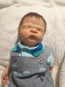 Bountiful Baby's Realborn/Reborn Baby Doll MADDOX #127 - Foto 1 di 15