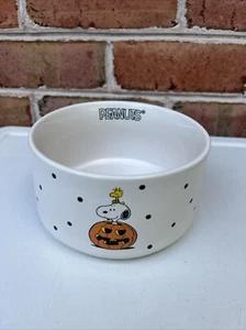 RAE DUNN 2023 Peanuts Snoopy And Woodstock Pumpkin Halloween Dog Bowl - Picture 1 of 8