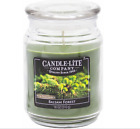 Duftkerze Candle-Lite Tradition seit 1840 Duft: Balsam Forest 510gr.