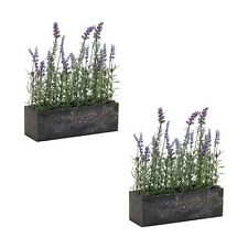 Melrose Potted Lavender Flower Box Arrangement (Set of 2)