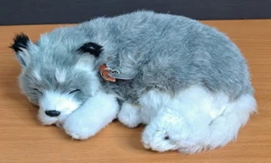 Perfect Petzzz Alaskan Husky Realistic Sleeping Dog Breathing Snores Collar Cut - Picture 1 of 11