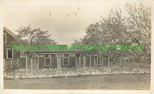 RPPC Gebäude mit eingezäunten Küken - Babyküken & Eier zum Schlüpfen Postkarte - Bild 1 von 2