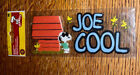 Jolees ORZESZKI ZIEMNE Snoopy Joe Cool Woodstock Charlie Brązowe naklejki Scrapbook Rękodzieło