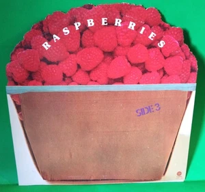 RASPBERRIES SIDE3 ERIC CARMEN ORIG LP DIE CUT COVER VINYL NM- - Picture 1 of 4