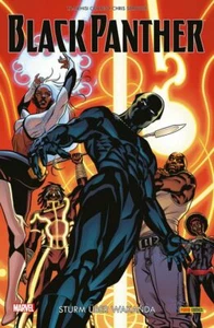 BLACK PANTHER PAPERBACK (2017) 2 deutsch (US 5-8) Ta-Nehisi Coates+Chris Sprouse - Picture 1 of 1