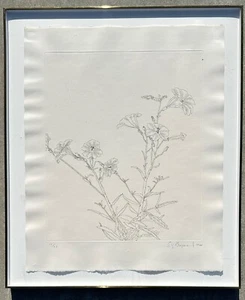 Ed Baynard (American, 1940–2016) Floral, Flowers Etching Framed - Picture 1 of 23