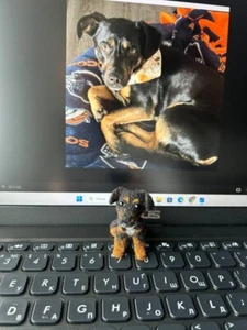 Custom felt Dog, Needle Felted dog, Dog replica, Personalized Miniature Dog - Picture 1 of 2