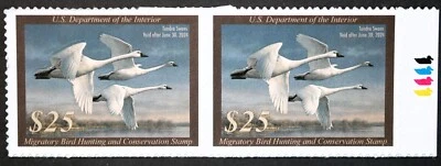 RW90 Federal Duck Hunting Stamps (TWO) VF, MNH, OG, 2023 stamp collectables - Image 1 of 2