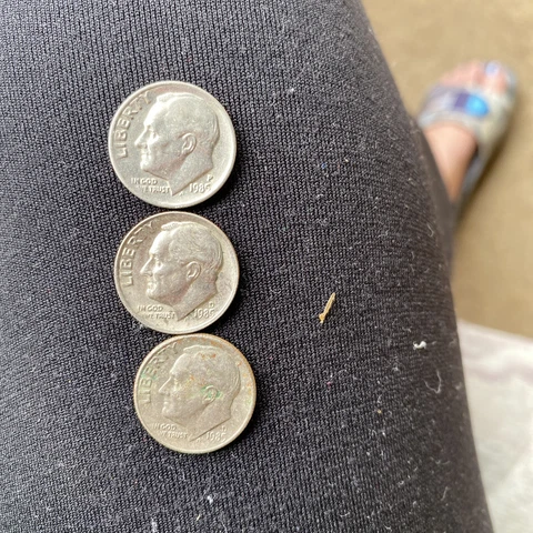 1985 P And 2 1985 D Dimes Cover