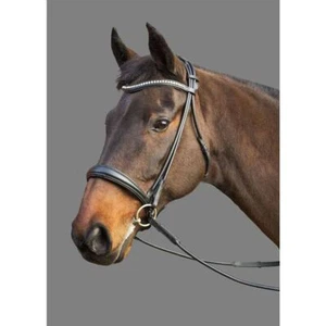 Horse Leather Bridle Hunter Flash Black Padded Comfort Noseband COB Full Size - Picture 1 of 3