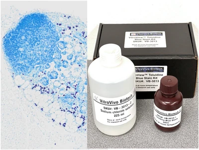 Kit de manchas azul toluidina VitroView™ (Cat# VB-3013) Foto 1 de 4