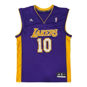 Steve Nash #10 Los Angeles Lakers Jersey Adidas Purple Mens Size Medium - Picture 1 of 9