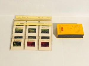 Vintage Colored Slides Circa 1960’s - Picture 1 of 6