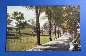 1910s Canterbury UK Postcard – Dane John Avenue, Valentine’s Colourtone Series - Picture 1 of 3
