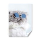 A5 - White Sunglasses Cat Print 14.8x21cm 280gsm #12961