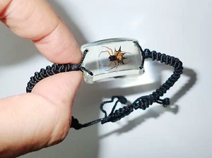 Insect Bracelet Spiny Spider Specimen in Clear Resin Block 1 piece Lot - Picture 1 of 10