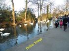 Photo 12X8 Feeding The Swans At Windsor Eton As My Local Reservoir Says W C2014
