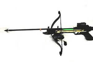  Cross Bow w/ Red Laser - Fishing Arrow - Reel 