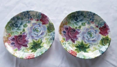 Juego de 2 platos de cena suculentos NICOLE MILLER Cactus Bloom MELAMINA verde rosa Foto 1 de 4
