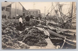 RPPC Tarpon Springs Sponge Fishing Docks with Boats 1919 - Picture 1 of 2