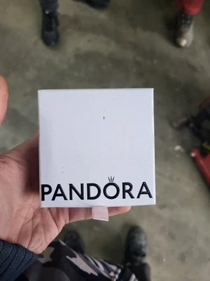 Pandora Armband mit 5 Charms 17cm Länge für Frauen Schmuck Geschenk Silber TOP - Bild 1 von 4