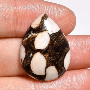 19.00 Cts Natural Peanut Wood Jasper Pear Cabochon Loose Gemstone 26X20X5 mm - Picture 1 of 6