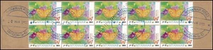 Butterflies: Peacock Pansy (Junonia almana) -10er LETTER PIECE- - Picture 1 of 1