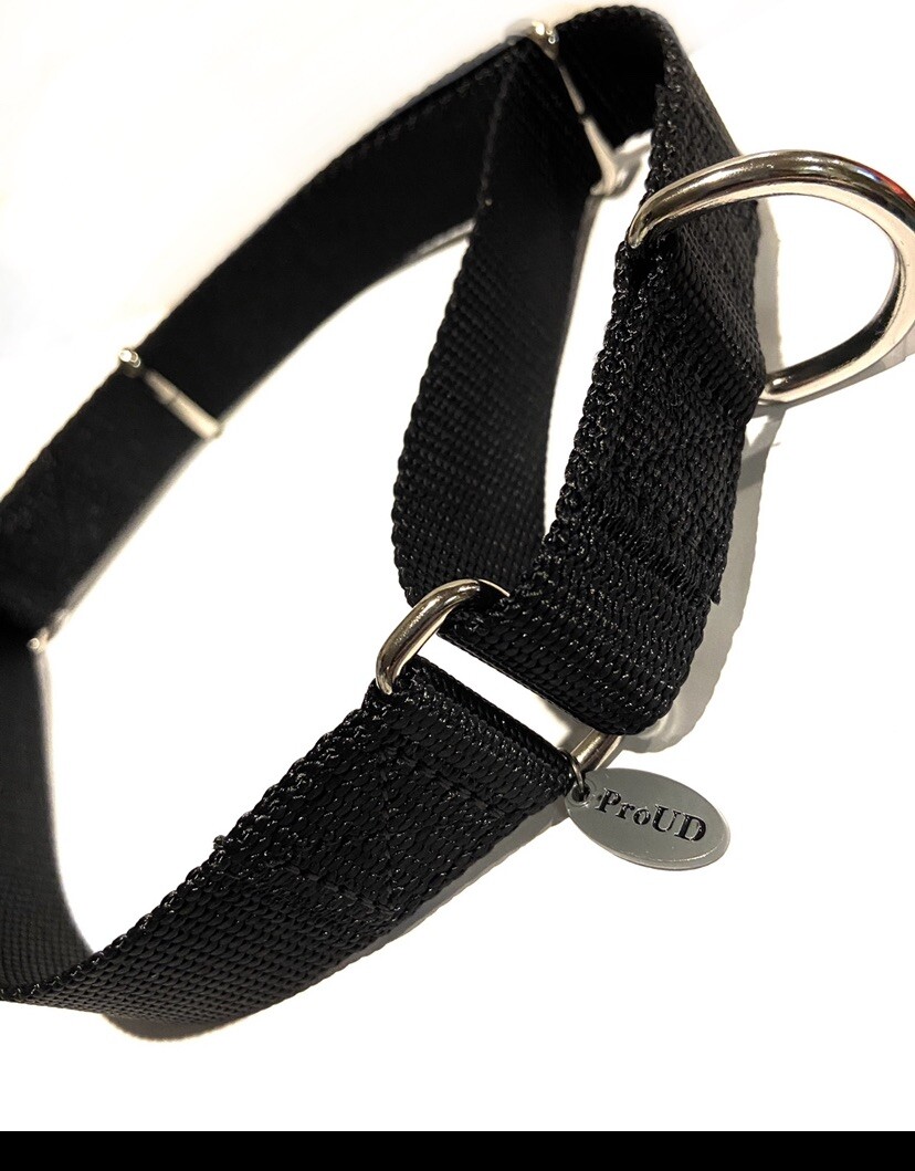 Martingale Dog Collar Pet Training Collar P Chain Adjustable Durable