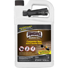 1 Gal. Quick Kill Carpenter Be Ant and Termite Killer Ready To Use